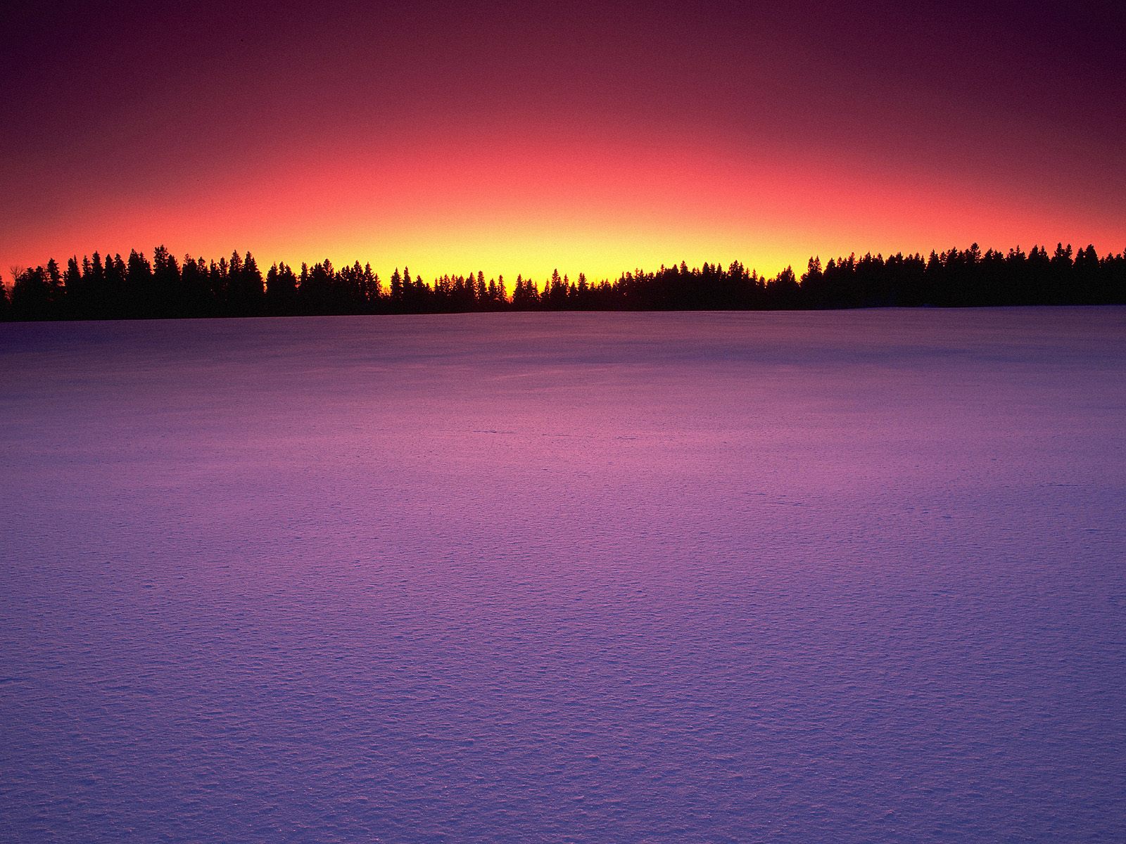 Birds_Hill_Provincial_Park_Manitoba_Canada_smbGZjoQbY1I.jpg