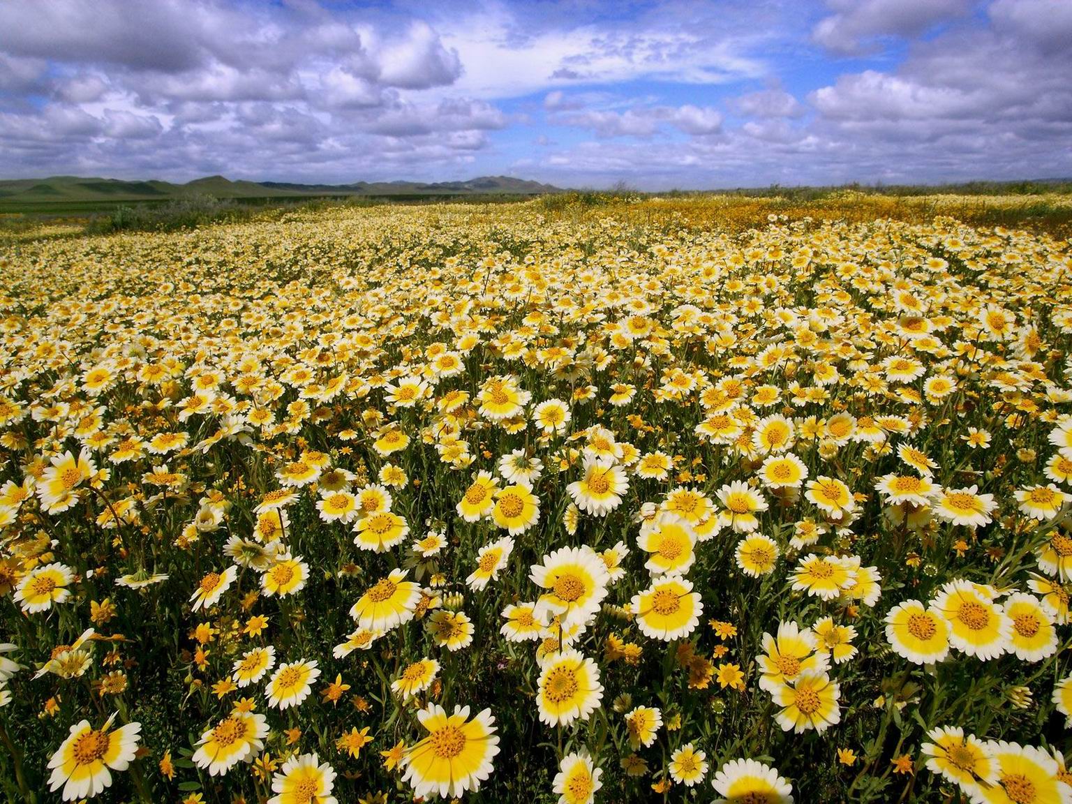 Carrizo_Plain_National_Monument_California_7pqKKQRZQHSL.jpg