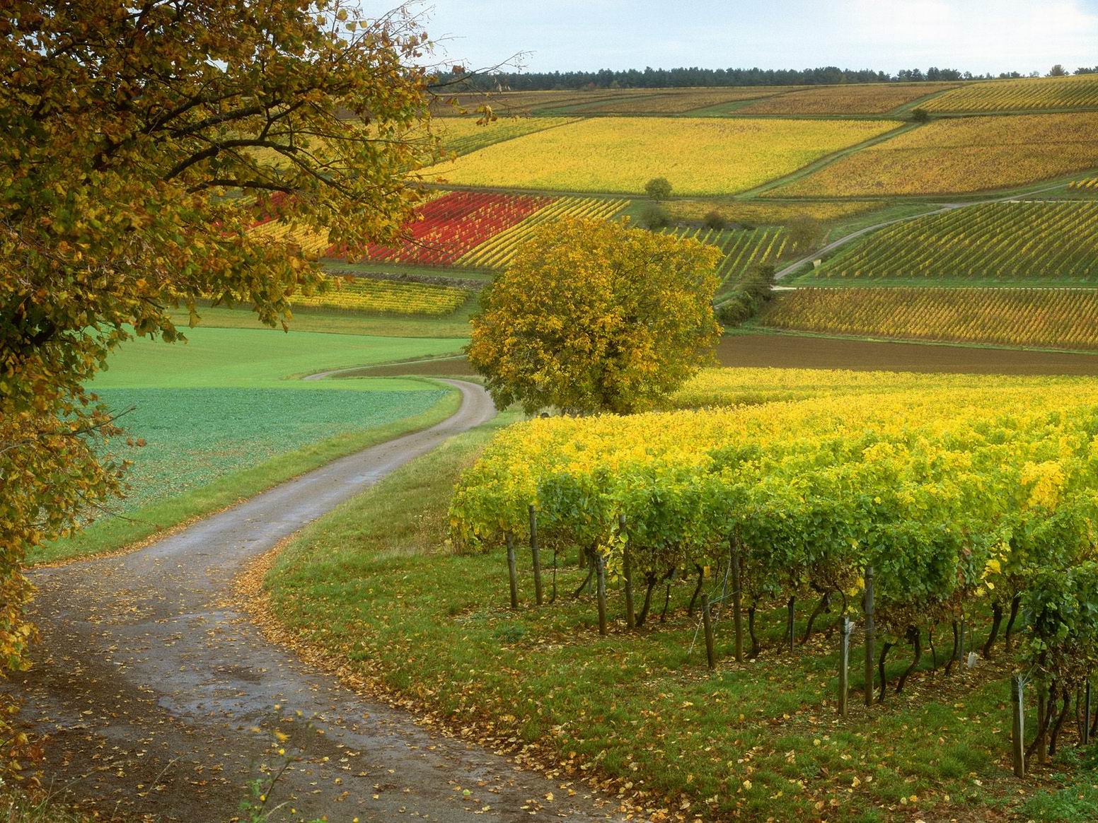 Beauty_in_Nature_France_PDKYI3BBf4lE.jpg