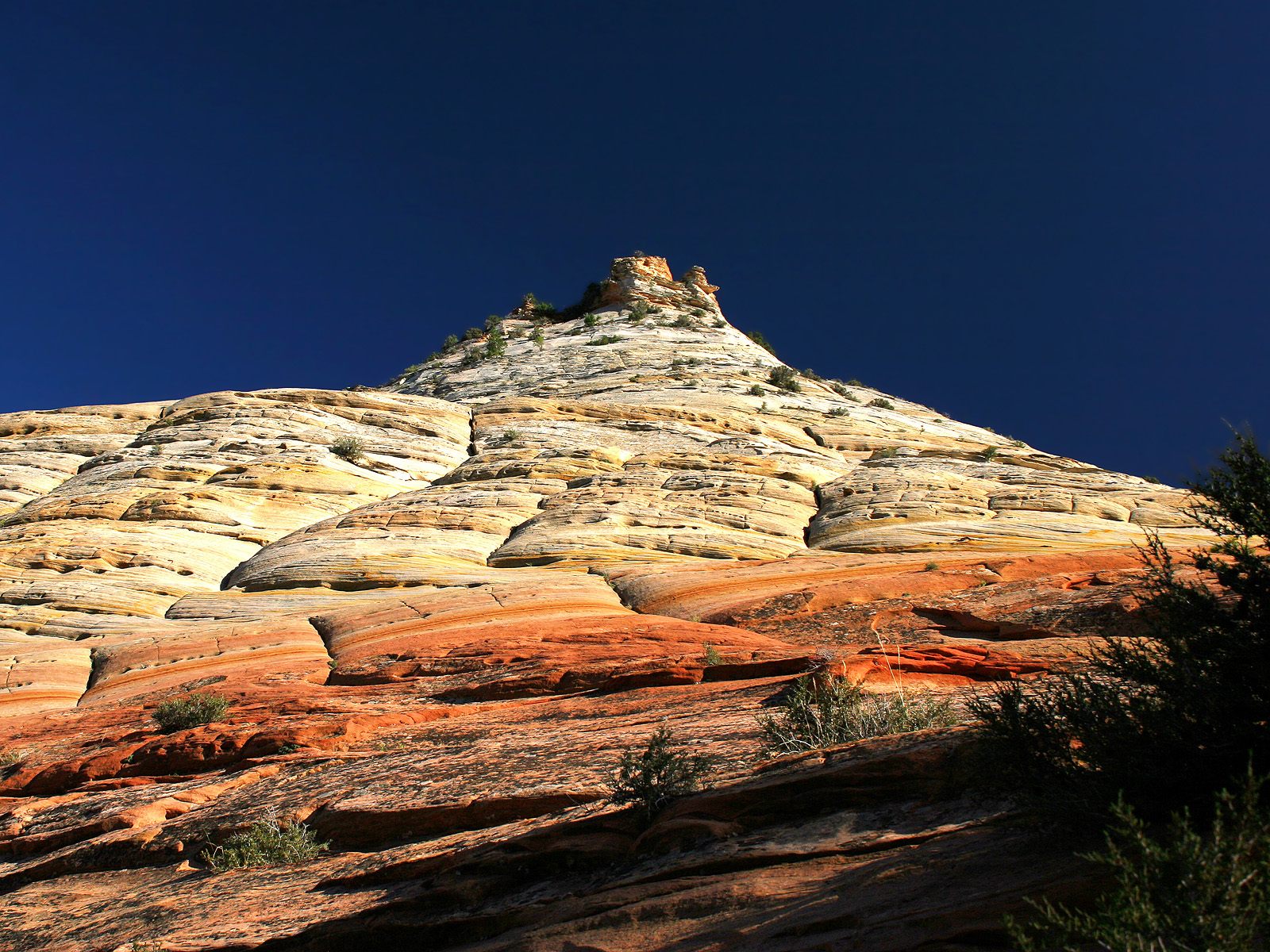 Checkerboard_Mesa_Zion_National_Park_Utah_0Qb0XmRztoW0.jpg