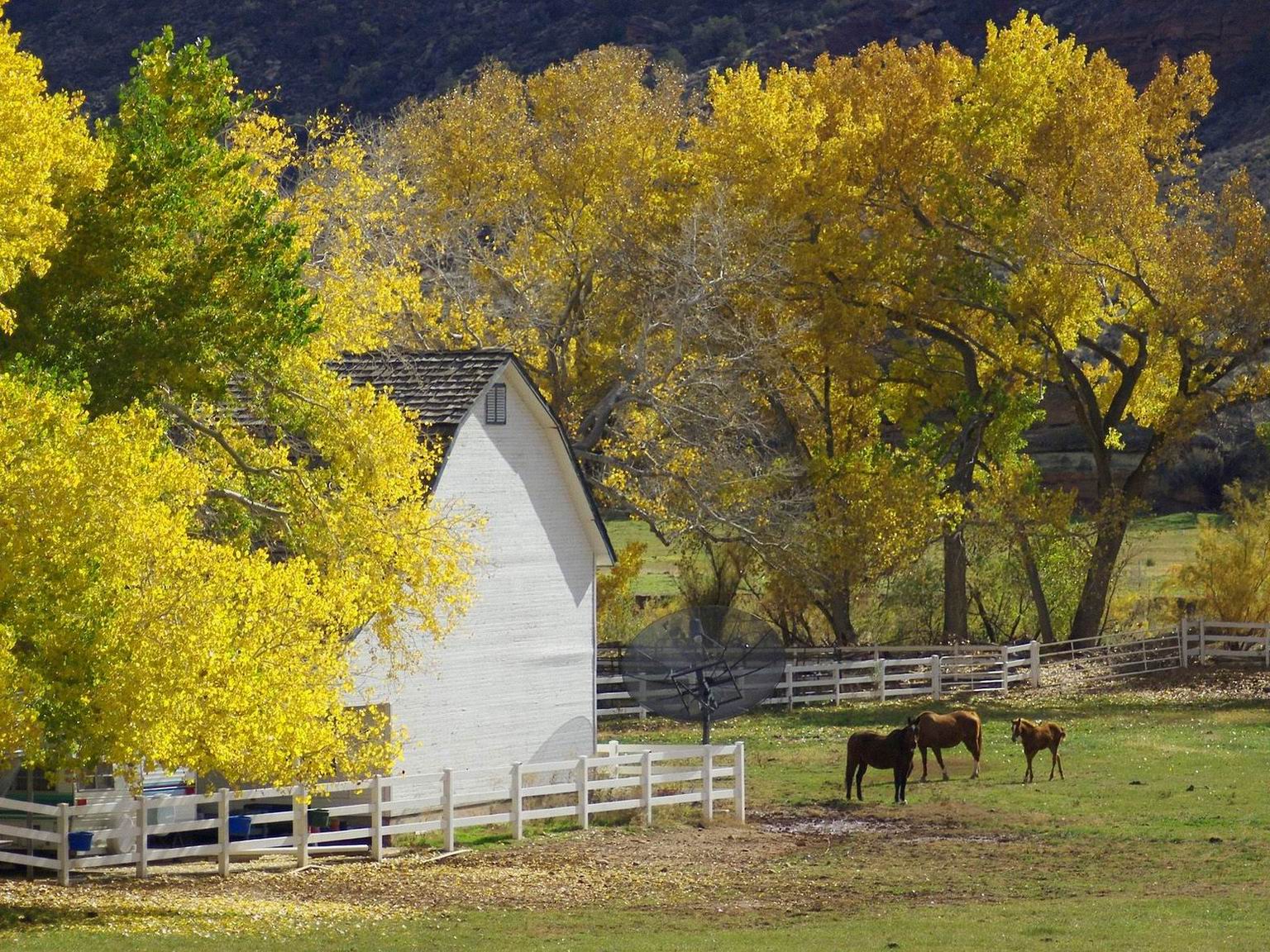 Autumn_Country_Farm_SJE1OOq2qDQj.jpg