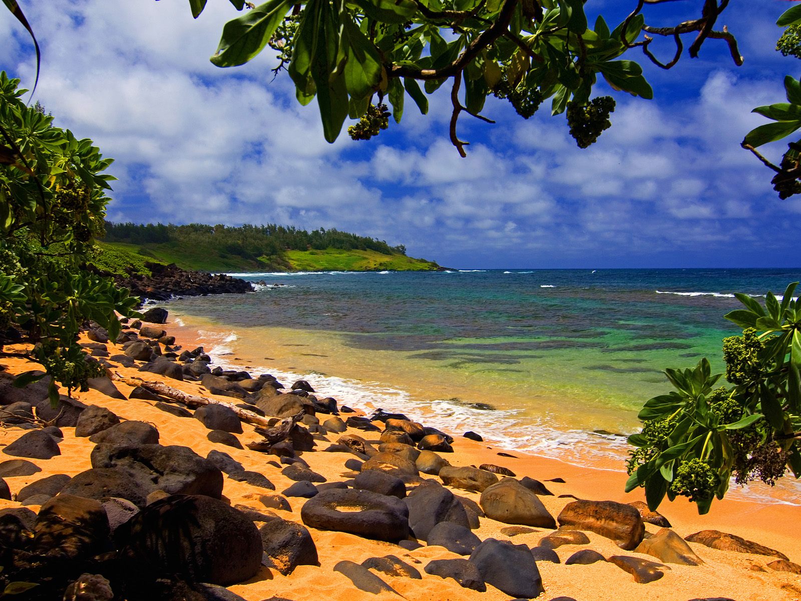 Beach_Shade_Moloaa_Kauai_Hawaii_BDjhuVFBoNN4.jpg