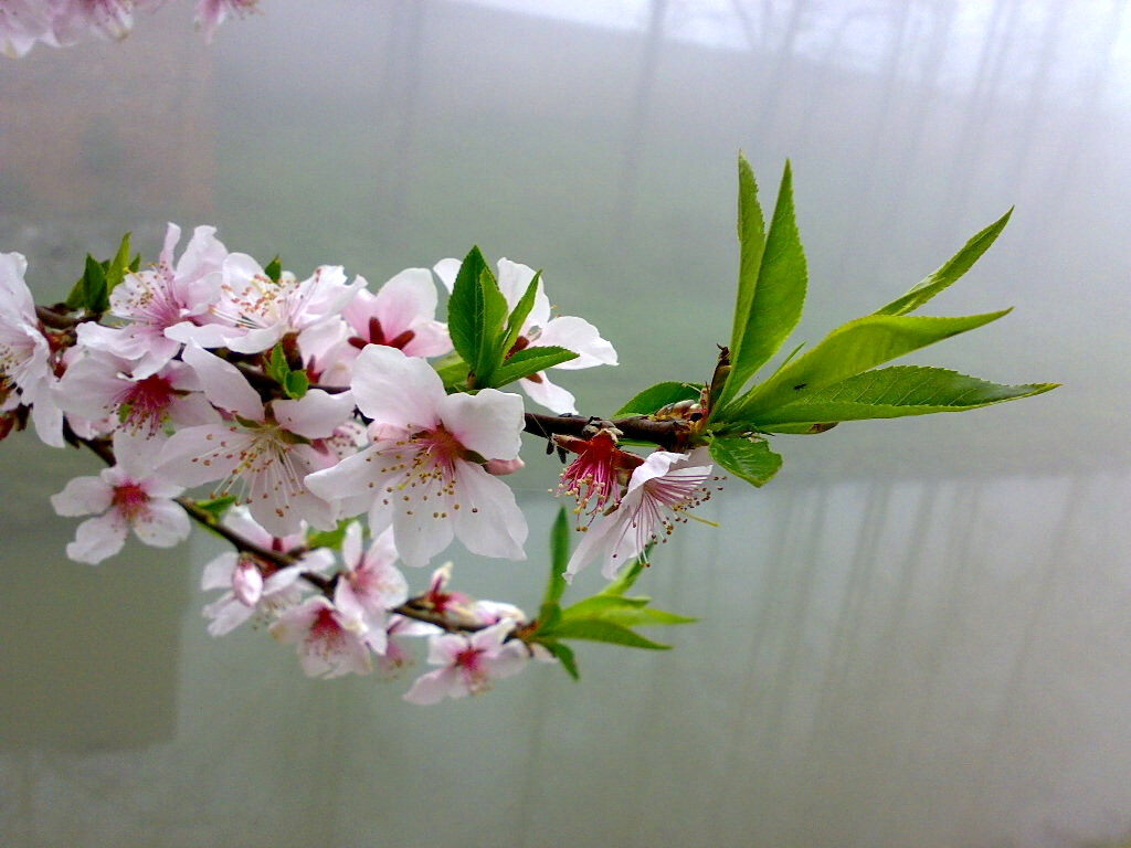 201004051034.JPG